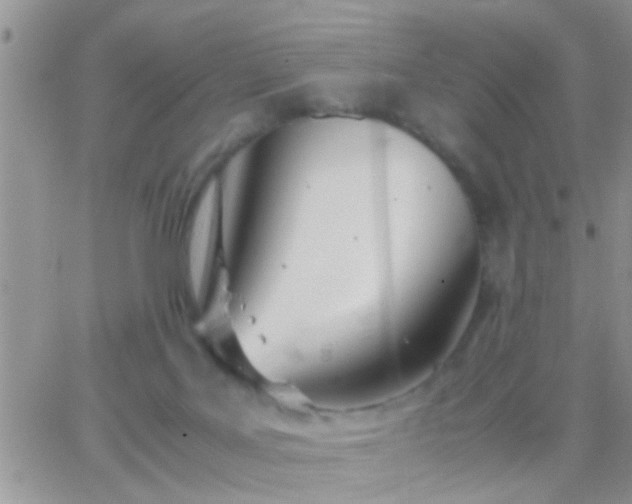 X0000065240027200602242036