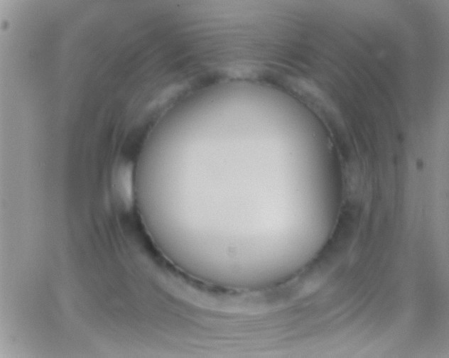 X0000065240028200602242036