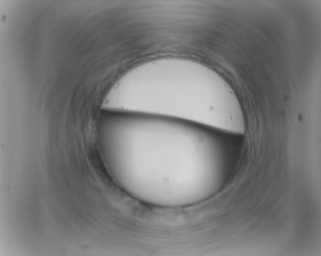 X0000065240029200602242036