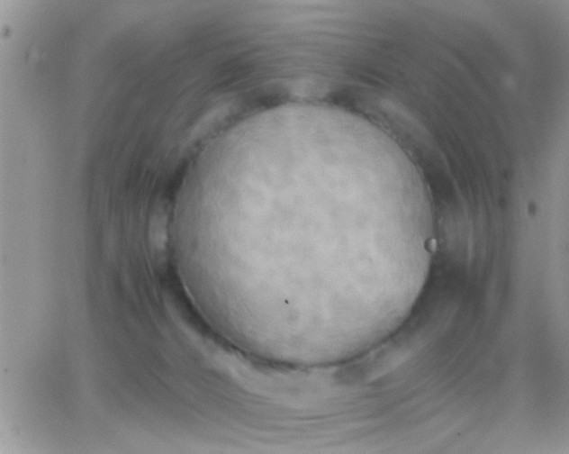 X0000065240032200602242036