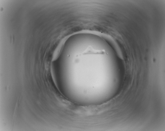 X0000065240033200602242036