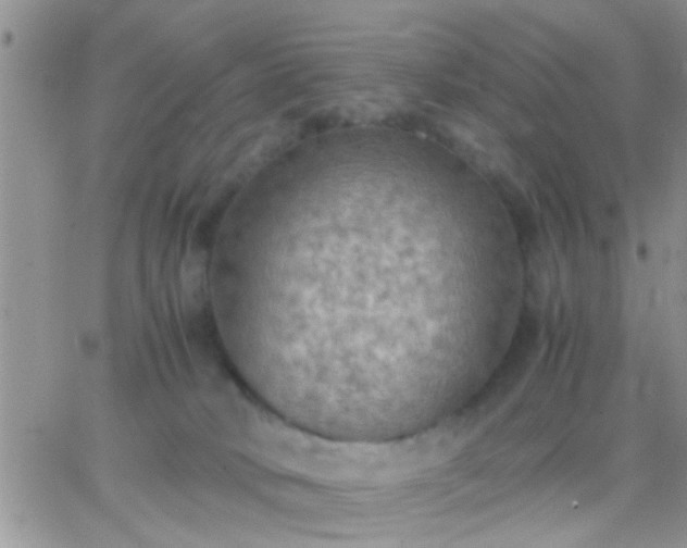 X0000065240034200602242036