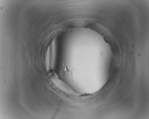 X0000065240035200602242036