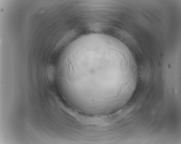 X0000065240036200602242036