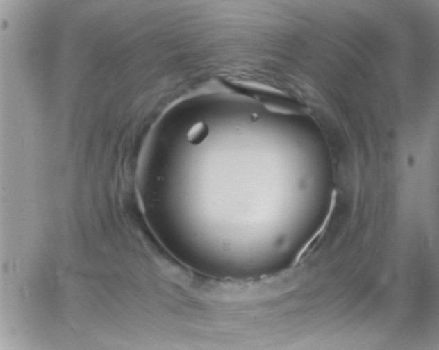 X0000065240037200602242036