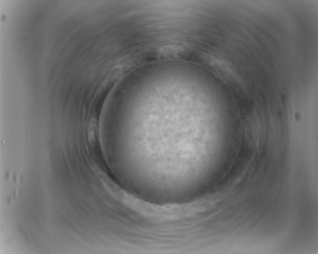 X0000065240038200602242036