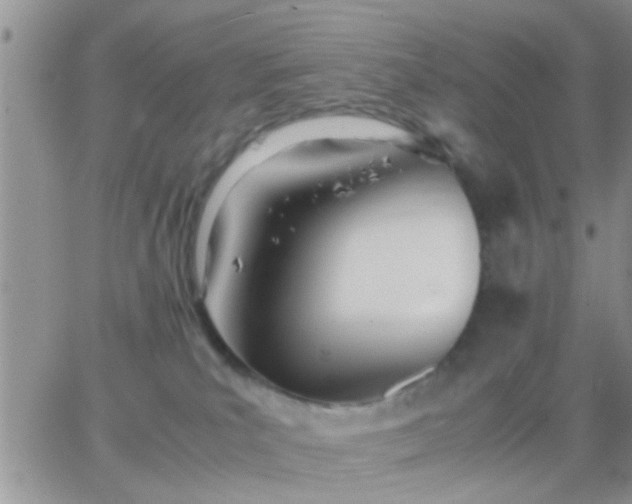 X0000065240039200602242036