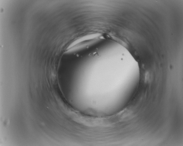 X0000065240040200602242036