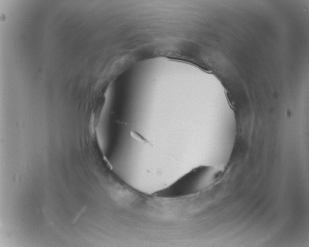 X0000065240041200602242036