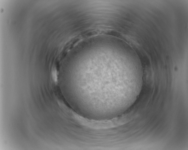 X0000065240042200602242035