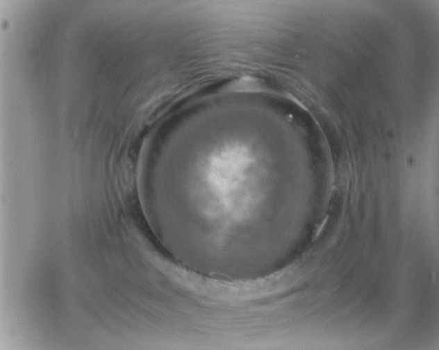 X0000065240043200602242035