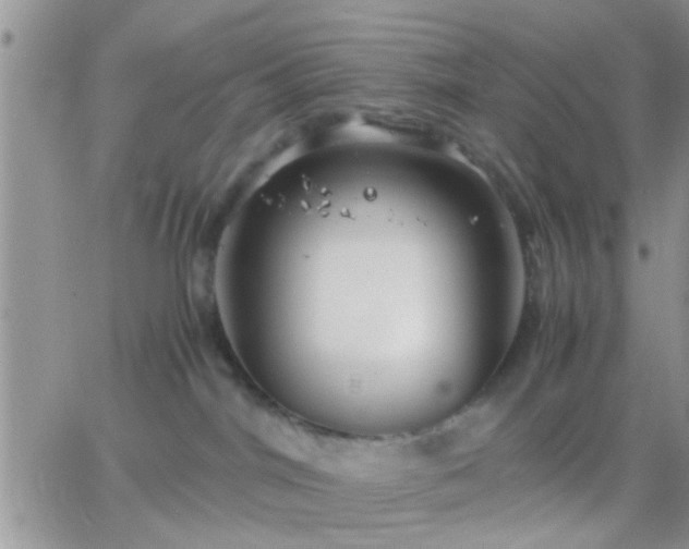 X0000065240044200602242035