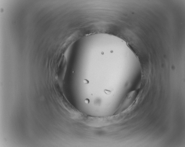 X0000065240045200602242035