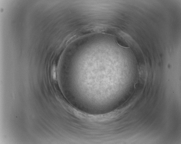 X0000065240046200602242035