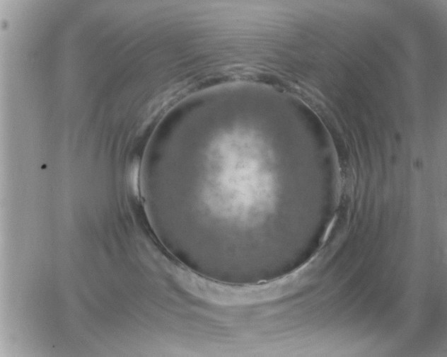 X0000065240047200602242035