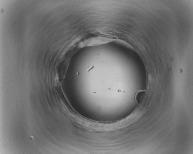 X0000065240048200602242035