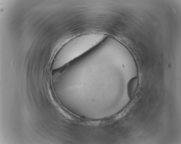 X0000065240049200602242035