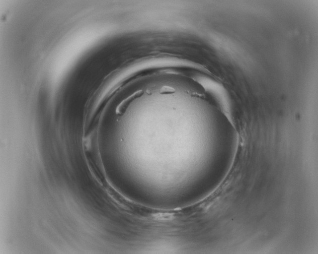 X0000065240052200602242035