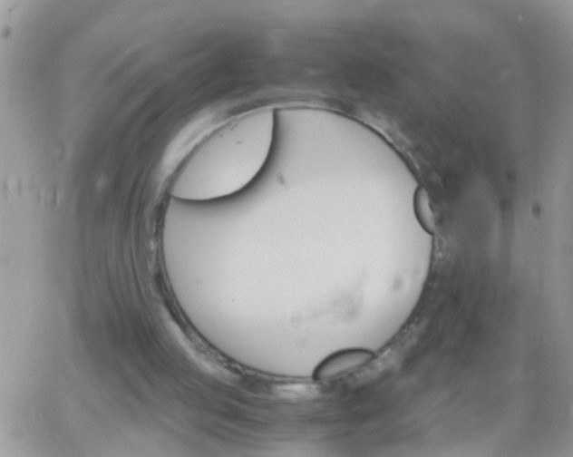 X0000065240053200602242035