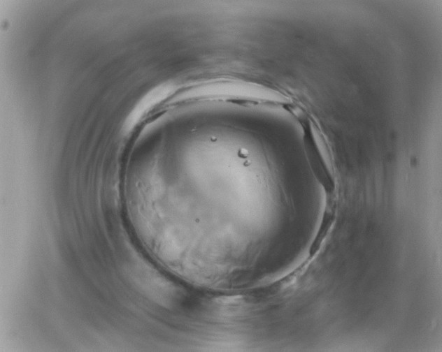 X0000065240054200602242035