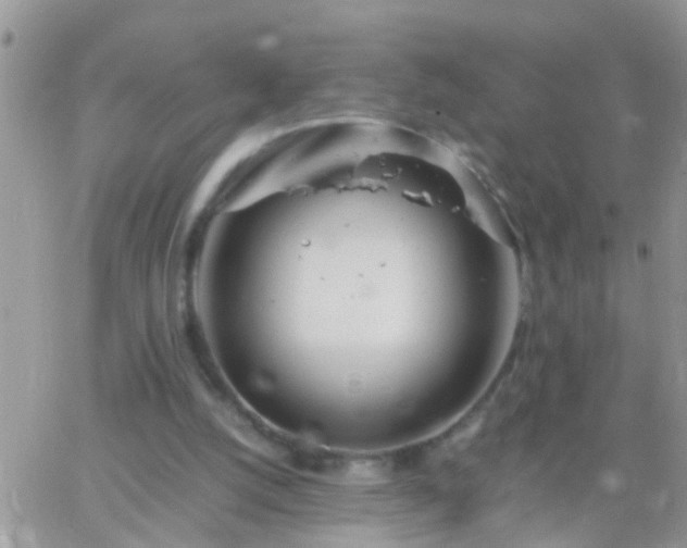 X0000065240056200602242035