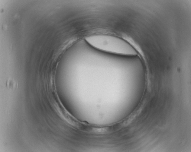 X0000065240057200602242035