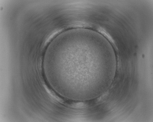 X0000065240058200602242035