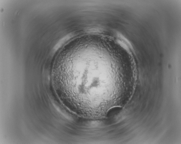 X0000065240059200602242035