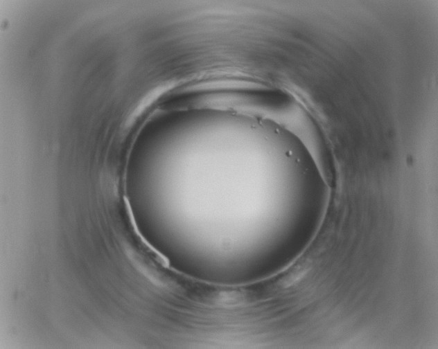 X0000065240060200602242035