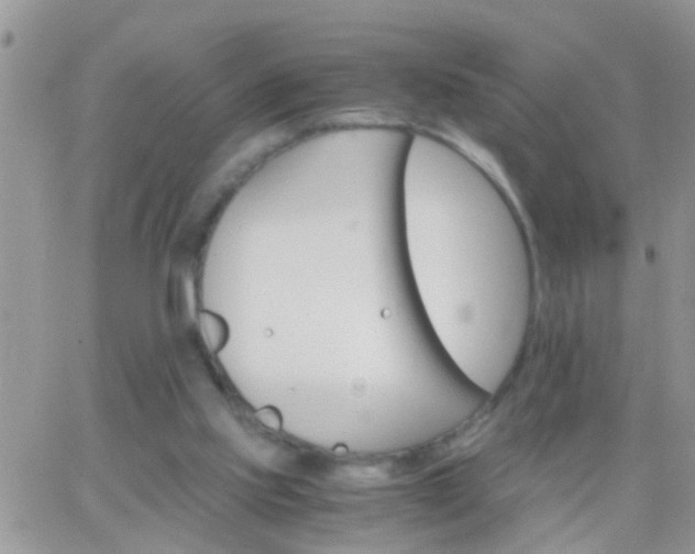 X0000065240061200602242035