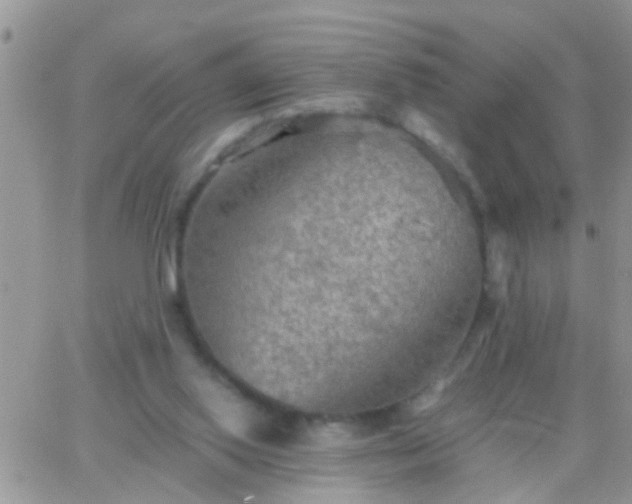 X0000065240062200602242035