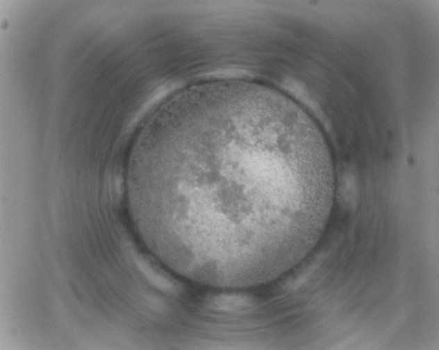 X0000065240063200602242035