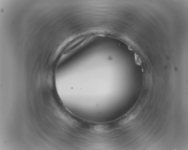 X0000065240064200602242035