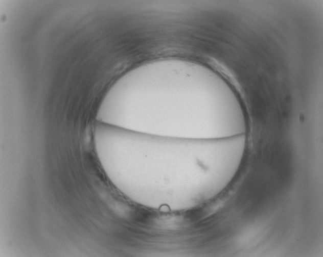 X0000065240065200602242035