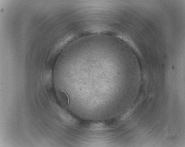 X0000065240066200602242035