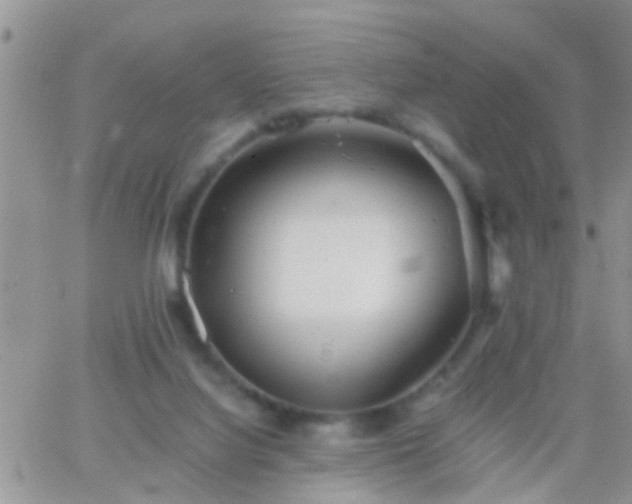 X0000065240068200602242035