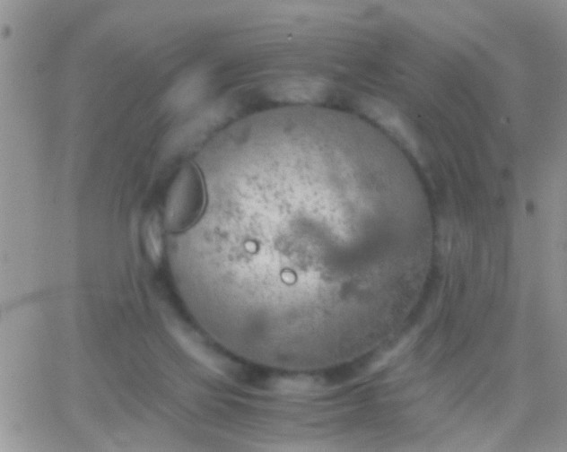 X0000065240069200602242035