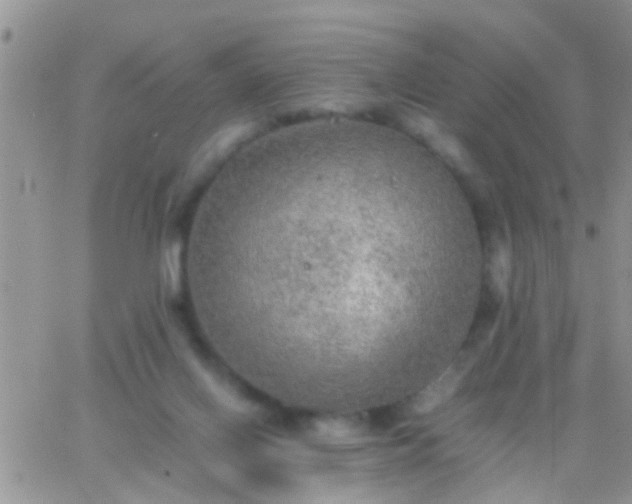 X0000065240070200602242035