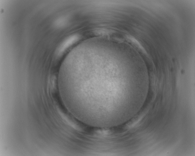 X0000065240071200602242035