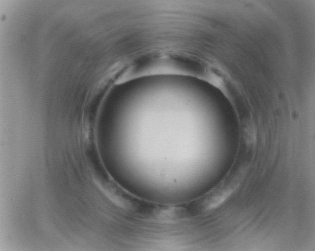 X0000065240072200602242035