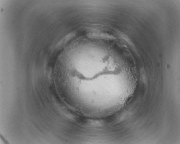 X0000065240073200602242035