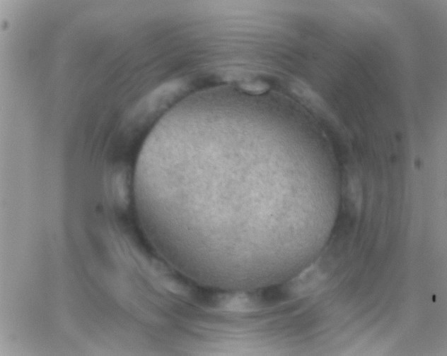 X0000065240074200602242035