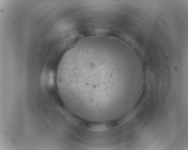 X0000065240075200602242035