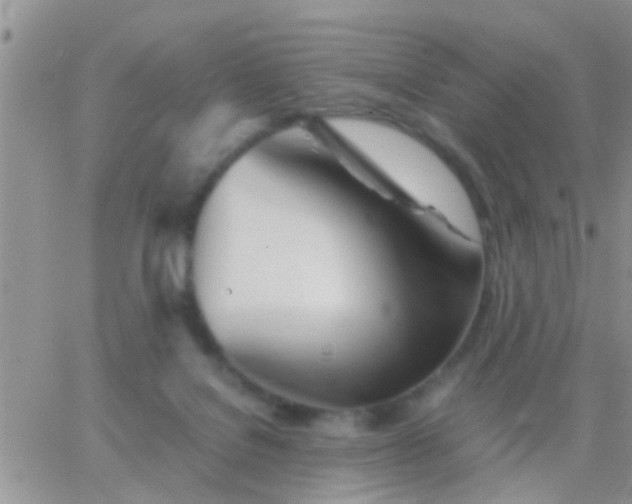 X0000065240076200602242035