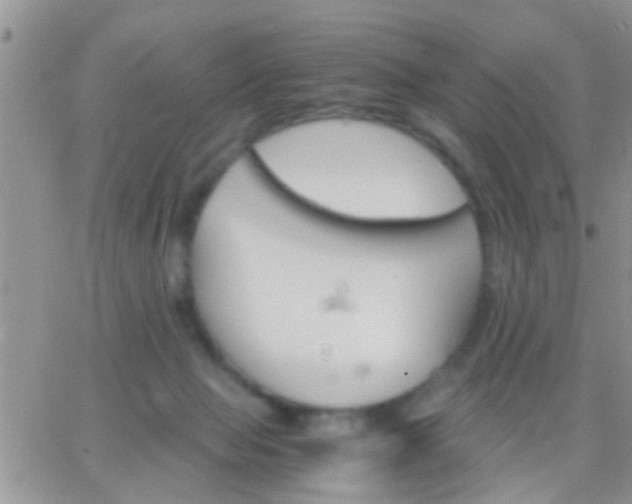 X0000065240077200602242035