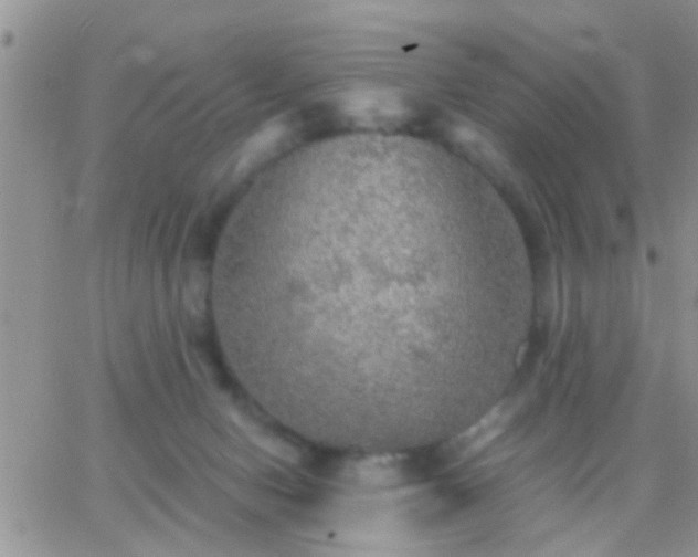 X0000065240078200602242035