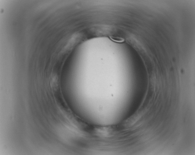 X0000065240079200602242035