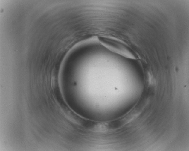 X0000065240080200602242035