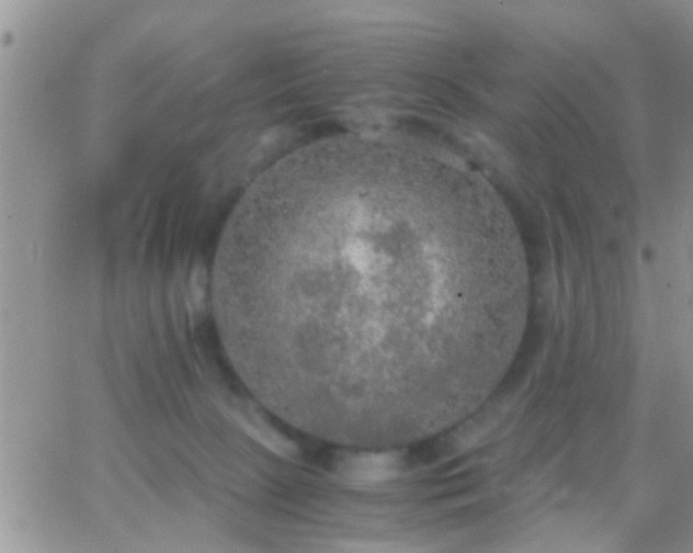 X0000065240081200602242035