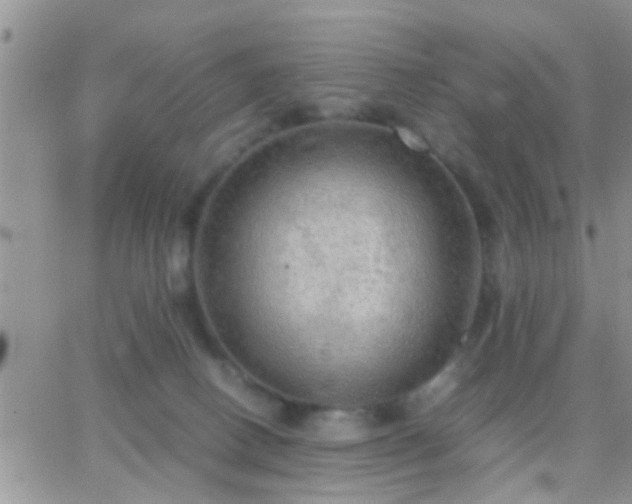 X0000065240082200602242035